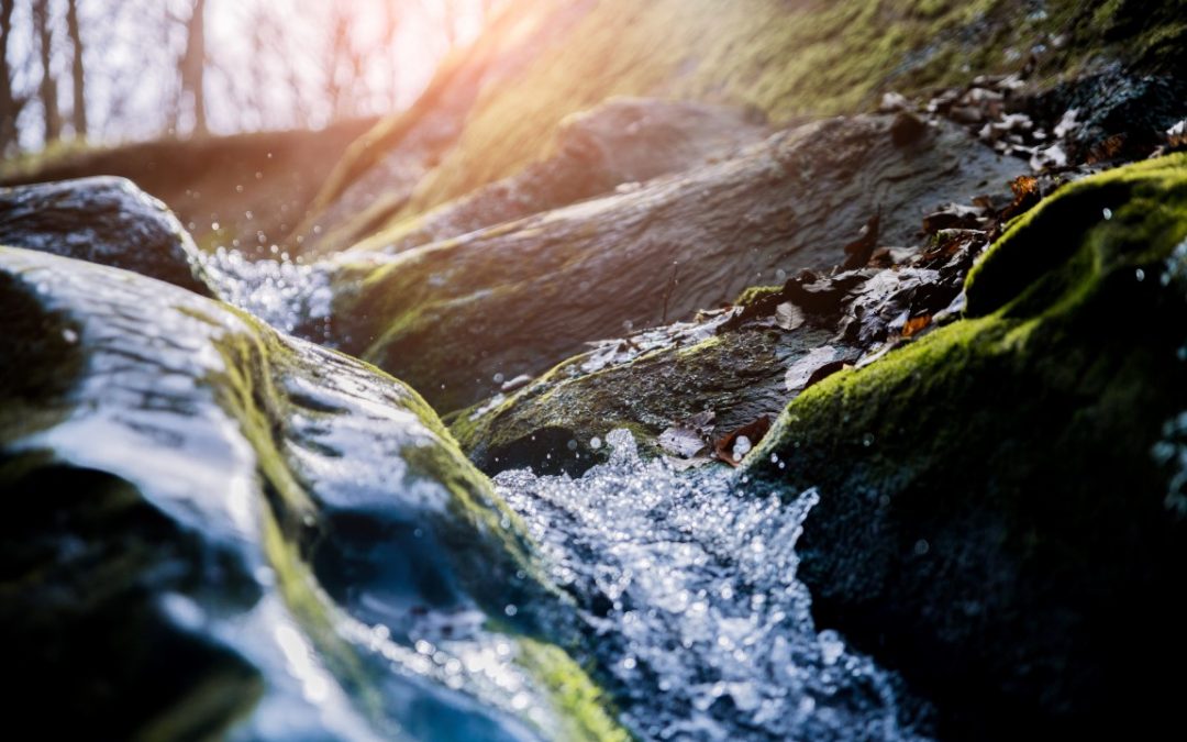 EU funded Life Demine